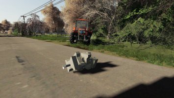 Homemade Polish Weight FS19