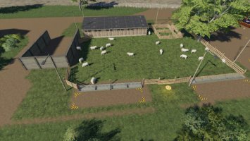 Sheep Husbandry With Straw And Manure fs19