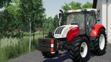 Steyr Weight Pack FS19