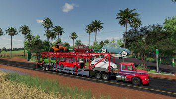 Car Transport Trailer v1.0.0.1 FS19