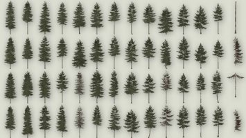 Conifer Trees (Prefab)