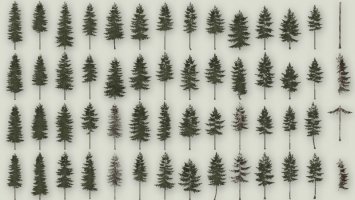 Conifer Trees (Prefab) FS19