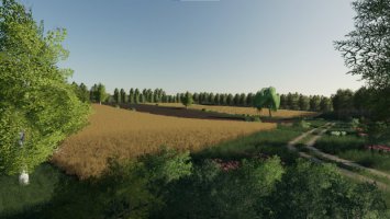 SZWAGROWICE FS19