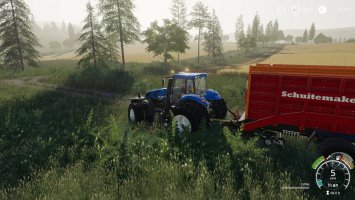 FS19 Ringwood's by Stevie FS19