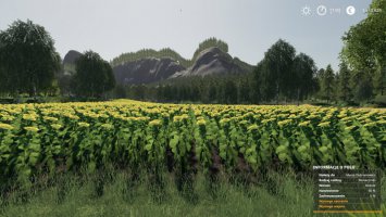 Green Valley FS19