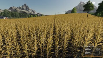 Green Valley FS19