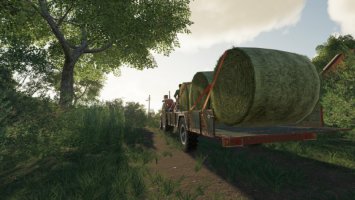 Low Trailer And Bale Trailer FS19