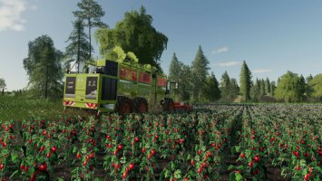 Old Kiwi Farm v1.1.1 FS19