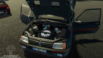 Peugeot 205 Turbo 1984 v1.1 FS19