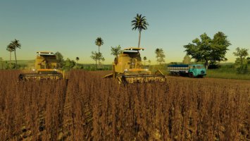 Pioniere Karte v1.1 fs19