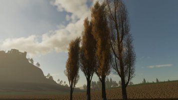 Trees FS19