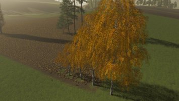 Trees FS19