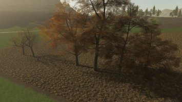 Trees FS19