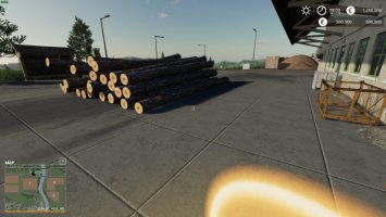 Tägliche Einkommensbegrenzung FS19