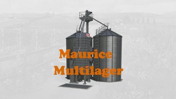 Multilager FS22