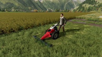 Grass Mowing FS22