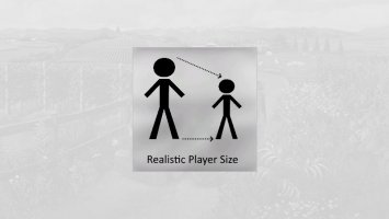 RealisticPlayerSize