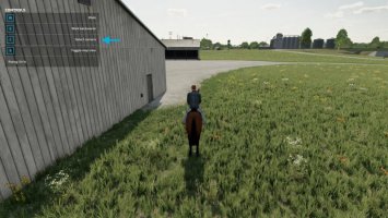 First Person Horse Riding Camera FS22