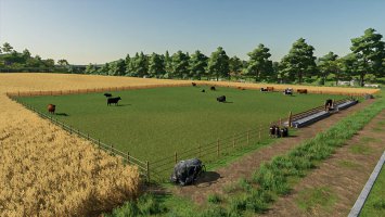 Open Cow Pasture FS22