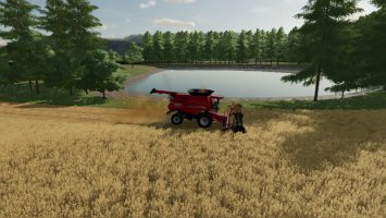 Maypole Farm v1.6.0.0 FS22