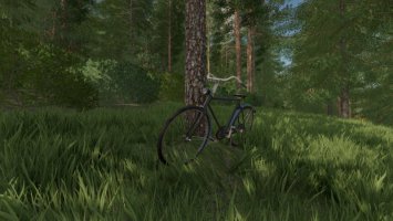 Stary rower FS22