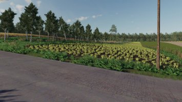 FS19 Dolina FS19