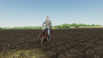 Lizard Altes Fahrrad fs22