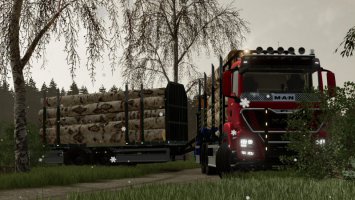 Lizard Kurzholz Trailer Pack FS22