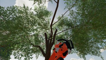 Long Reach Chainsaw fs22