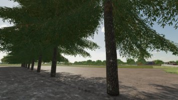 Tree Growth Manager FS22
