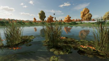 Natural Waterplants FS22