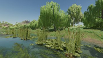 Natural Waterplants fs22