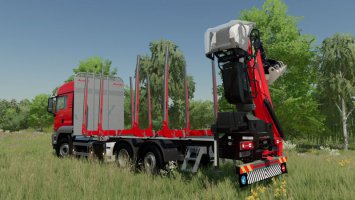 MAN TGS TG2 Woodtruck FS22