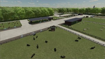 Open Pastures For Milk And Wool Sheeps FS22