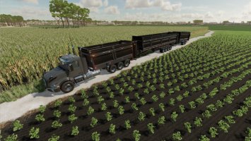 Lizard Bulk And Manure System