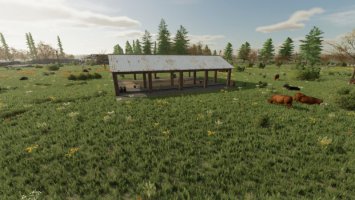 Open Cow Pasture FS22