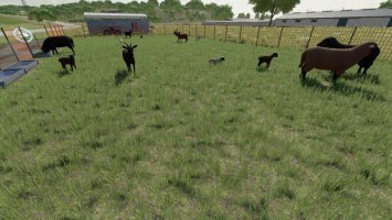 Enhanced Sheep And Goat Pasture FS22