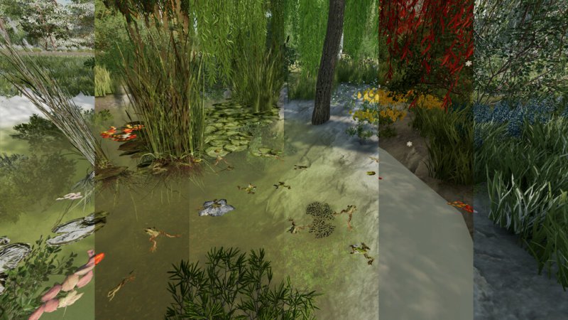 Frogs For Pond FS22