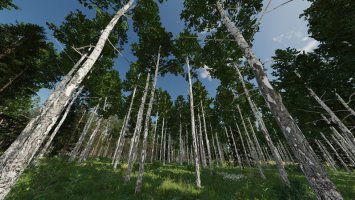 Karhuvaara Tree Pack (Prefab) FS22