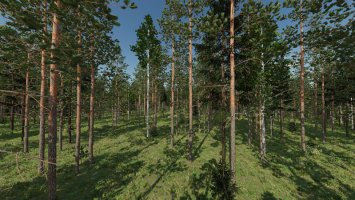 Karhuvaara Tree Pack (Prefab) FS22