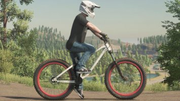 Lizard Mountain Bike FS22