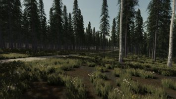 Ozean-Seitiger Wald FS22