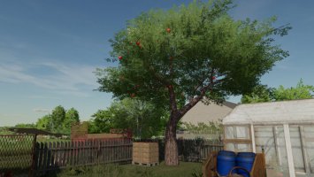 Apple trees FS22