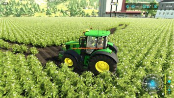 Penalty For Crop Destruction FS22