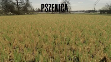 Tekstura Ścierniska (Pszenica/Jęczmień) FS22