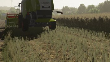 Textures of canola 2 fs22