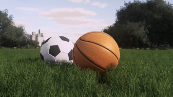 Buyable Balls For Play fs22