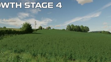 FS22 OSR/Canola Crop Textures FS22