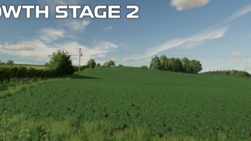 FS22 OSR/Canola Crop Textures FS22