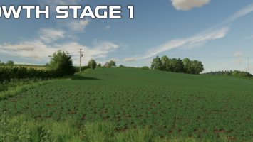 FS22 OSR/Canola Crop Textures FS22